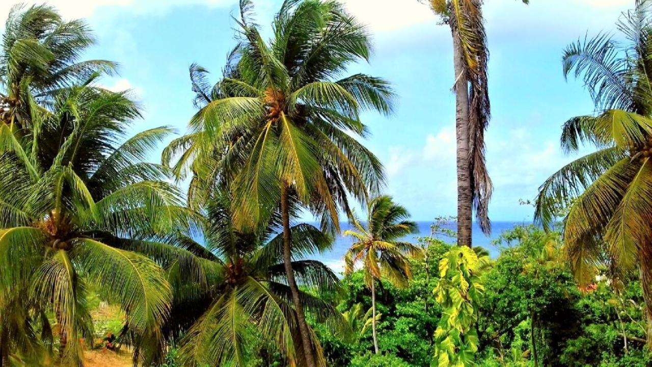 Le M Hotel Marie Galante Grand-Bourg  Buitenkant foto